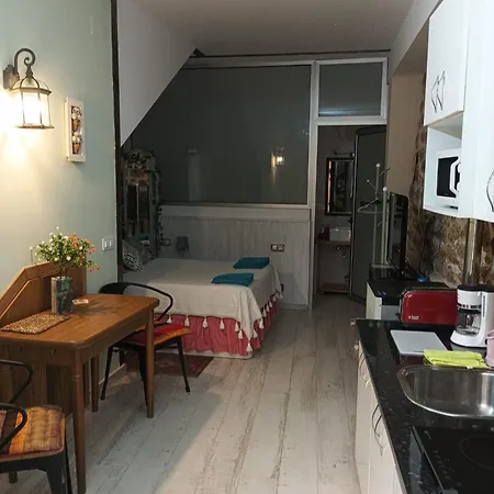Estudio As Andurinas Apartment *